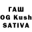Amphetamine Premium Kahoofanaccount420