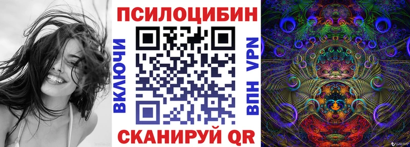 Купить  Новоаннинский  Псилоцибиновые грибы мицелий 